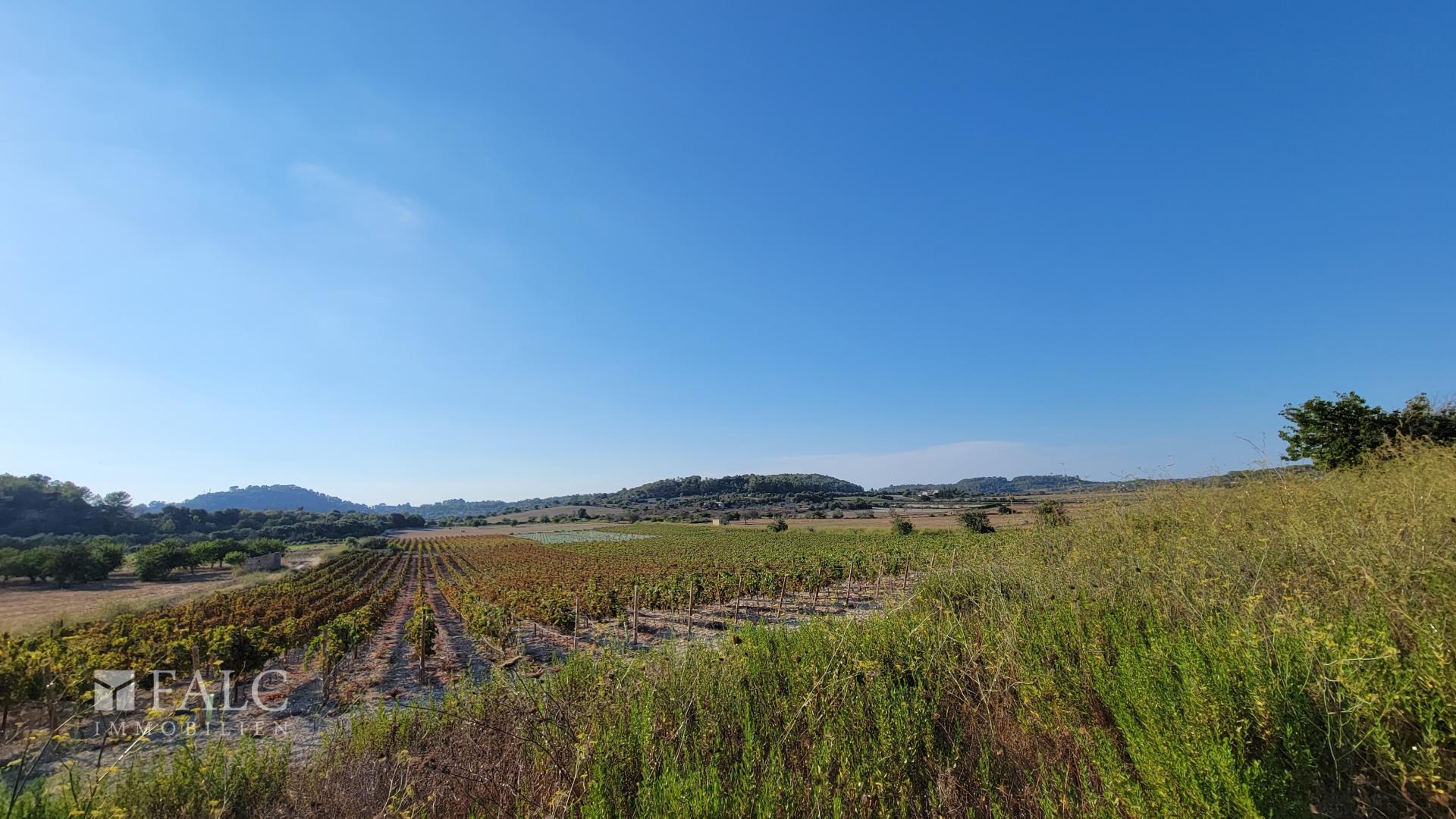 Baugrundstueck Porreres mit Weinberg 